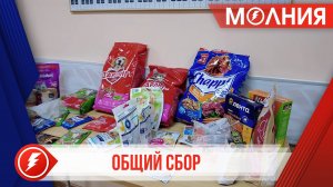 В Ханымее собрали около 40 кг корма для бездомных животных