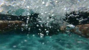 Western Australia- February 2019