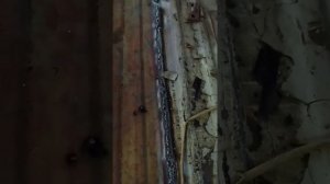 Что делать если сгнил кузов УАЗ