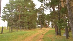 деревенька Буньково шлягер