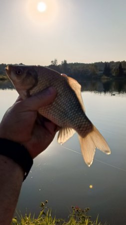 Осталось 3 месяца до летней рыбалки 🐟