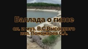 В.С.Высоцкий "Баллада о гипсе"
