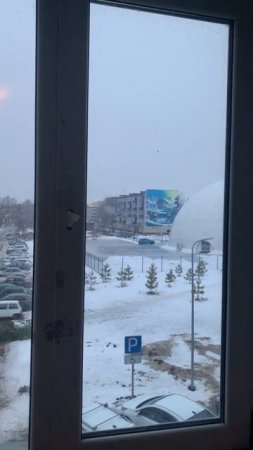 BioTeach красота города