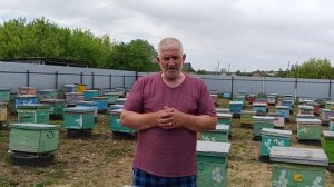 Пчеловодство с нуля