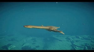 HUNTING FOUND JURASSIC WORLD EVOLUTION 2 Therizinosaurus Indominus rex Bajadasaurus King Kong