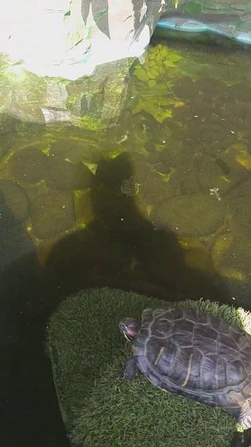 остановка смотреть онлайн