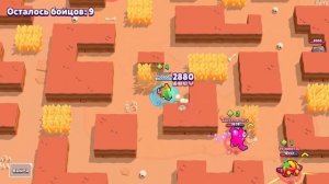 КАК АПНУТЬ КИТА НА 25 РАНГ😨|ГАЙД КАК АПНУТЬ КИТА НА 25