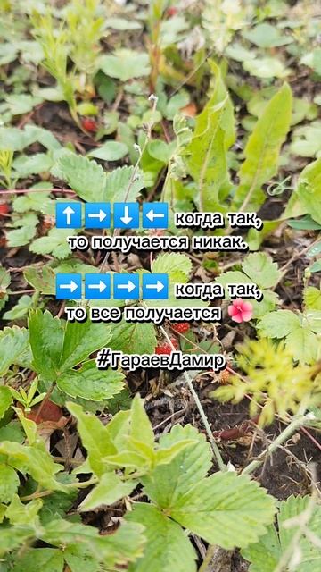 так #так #направление #получение #so #direction #receiving #ГараевДамир #GaraevDamir #shorts #short