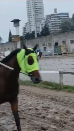 La reina de la velocidad 🙂