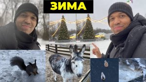 ПРАКТИКА АУДИРОВАНИЯ ИСПАНСКОГО: ✅ Зима - Invierno🔥