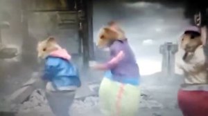 Клип про хомяков