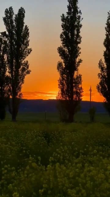 Прекрасная Россия❤️Крым🇷🇺 #природа #крымроссия #отдыхвроссии #природаичеловек