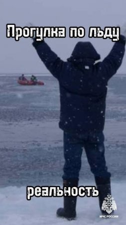 ❄️Дрейф со льдами по силам только белым мишкам