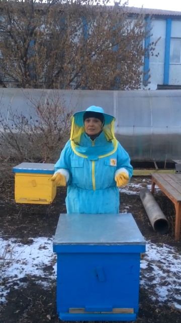 Что лечит пчелиный яд?