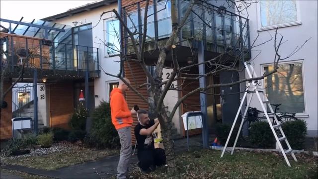 Монтаж гирлянды нить на дерево смотреть онлайн