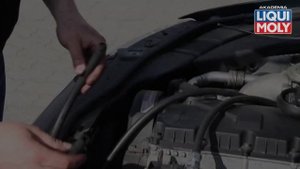 Liqui Moly Diesel Spulung 2666 - Instrukcja Obsługi