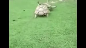 Весёлая песня про ДРУЗЕЙ!!!СМЕШНО))))