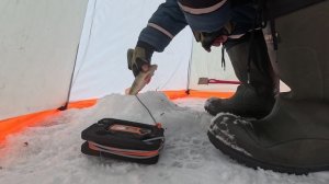 Рыбалка на Аргазях. Окунь, февраль 2025.