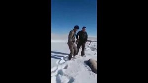 Волк притворился мертвым и напал на охотника