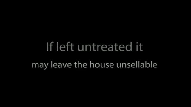 Pest Control Spring TX - (281) 353-4427 - Pest Control Spring, TX