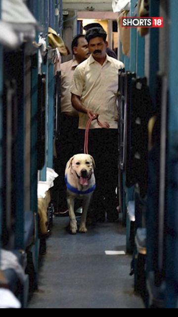 IRCTC | IRCTC Pet Rules | IRCTC Pet Ticket | IRCTC Pet Policy | #shorts | #railway | #trending