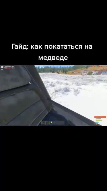 гайд по расту как покататься на медведей #гайд #раст #медведь #держидверь #рек  #го #лайк #подписка