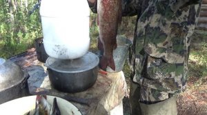 Отдых у таёжной речки. Рыбалка сбор ягод. Якутия.