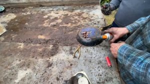 5 СПОСОБОВ ЗАРАБОТАТЬ ДЕНЬГИ в ДЕРЕВНЕ | Как заработать ?