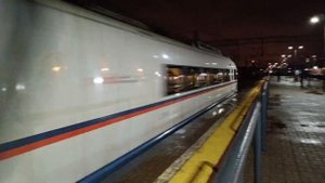 Летящий в Санкт-Петербург Сапсан звонко проходит станцию Химки