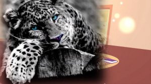 Изучаем животных. Леопард. Обучающий мультик.