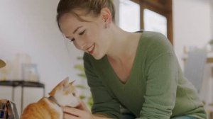Ebo - Robot Companion for Your Cat