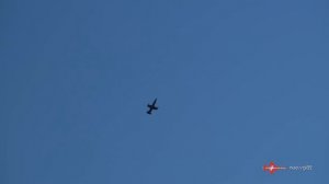 Aero L-39 ZA Albatros Jet World Masters 2015
