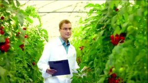 Реклама Россельхозбанк - Быстрое решение