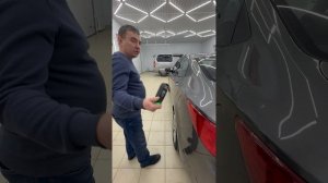 Солярис серый