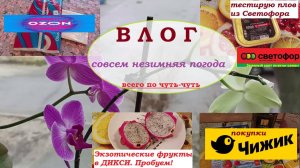 ВЛОГ.ОЗОН.Экзотические фрукты в Дикси.Тестирую плов из Светофора. Чижик.Незимняя погода.