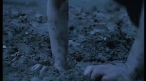 Морская Пехота