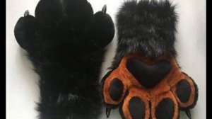 Квадробика || сходка квадроберов что выберешь? 🐾⚡