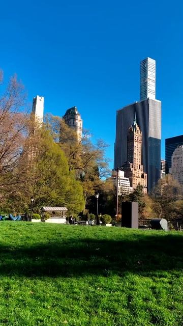 Прогуляемся по Центральному парку Нью-Йорка как миллиардеры | Серафима смотреть онлайн