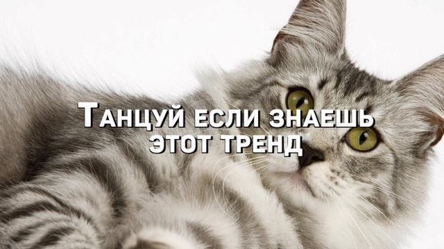 🎧💖Танцуй если знаешь этот тренд💖🎧 смотреть онлайн