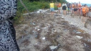 Остров обезьян