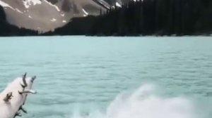 Золотая Рыбка _Фабрика