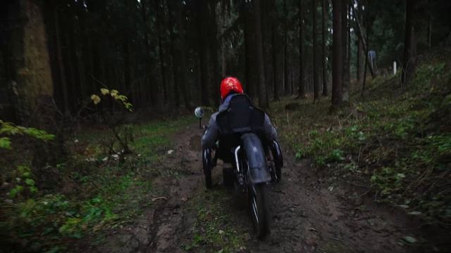 TRITOM - езда по осеннему лесу