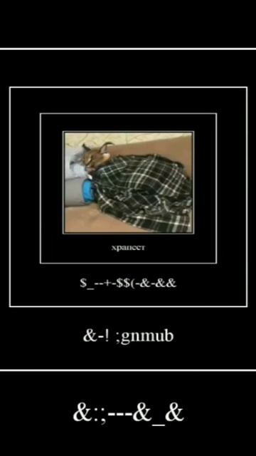 шлёпа у видел бингуса часть 1#shorts #мем #озвучка #шлёпа #фото #meme смотреть онлайн