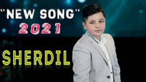 Шердил _Чашмакош хуморай духтари хоксорай _Суруди нав_2021_нови