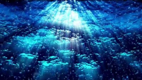 Предчувствие...