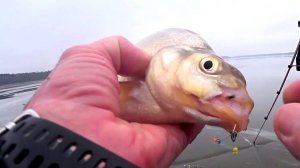 ПОКЛЁВКА НА "ВЕДЬМУ"