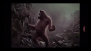 Как танцует обезьяна