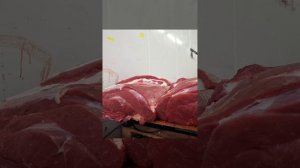 мясо говядина и баранина