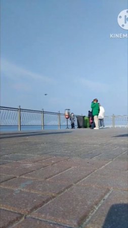 Таймлапс в Калининградской области, г.Зеленоградск #калининградскаяобласть