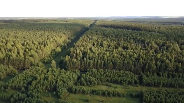 УСТЬ-ЛЮГА — ТОЧКА РОСТА ВЯТСКОПОЛЯНСКОГО РАЙОНА